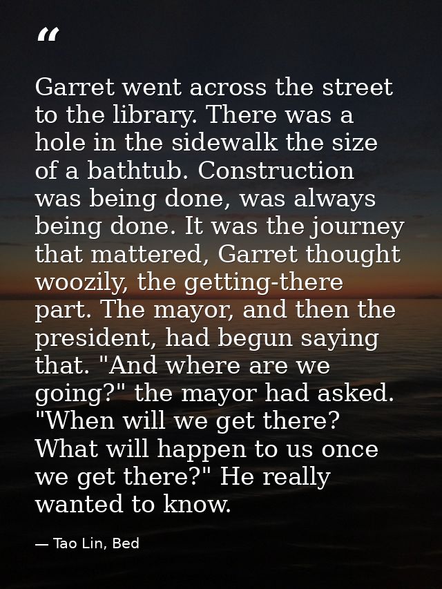 Garret went across the street to the library. There was a hole in the sidewalk the size of a bathtub. Construction was b — Tao Lin, Bed