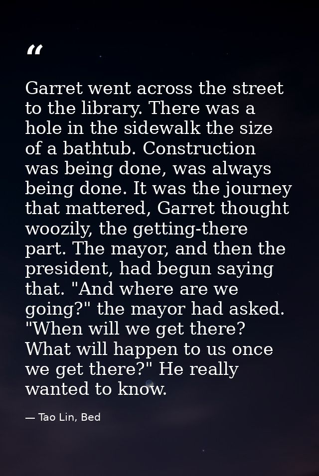 Garret went across the street to the library. There was a hole in the sidewalk the size of a bathtub. Construction was b — Tao Lin, Bed