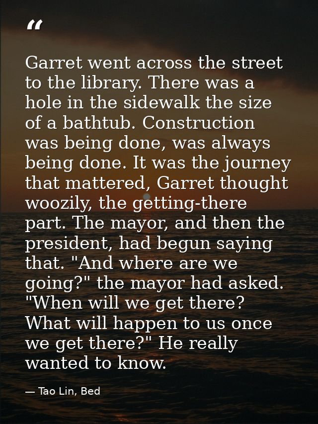 Garret went across the street to the library. There was a hole in the sidewalk the size of a bathtub. Construction was b — Tao Lin, Bed