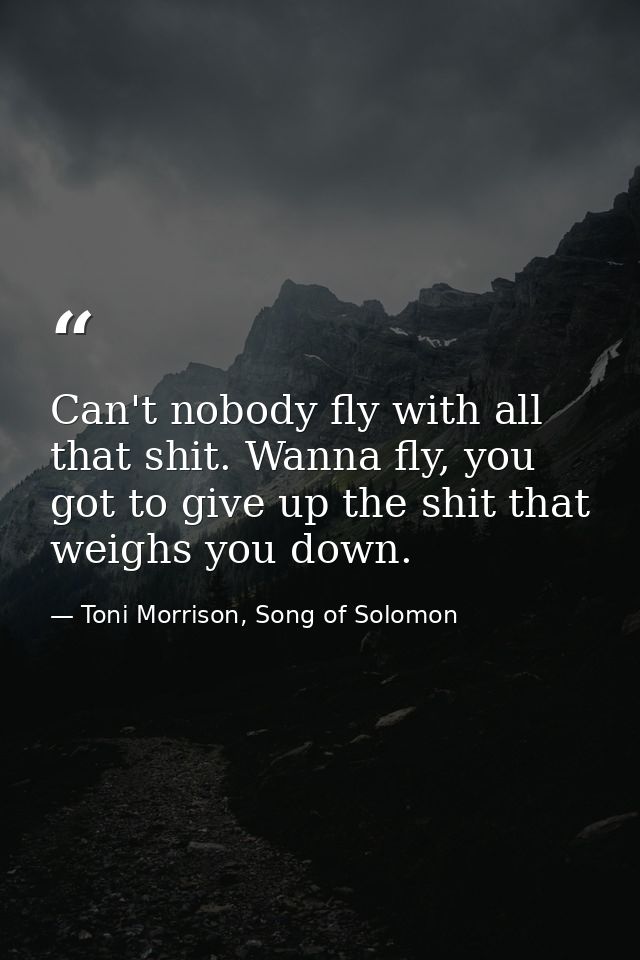Can't nobody fly with all that shit. Wanna fly, you got to give up the shit that weighs you down. — Toni Morrison, Song of Solomon