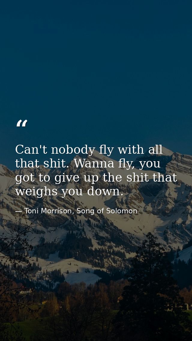 Can't nobody fly with all that shit. Wanna fly, you got to give up the shit that weighs you down. — Toni Morrison, Song of Solomon