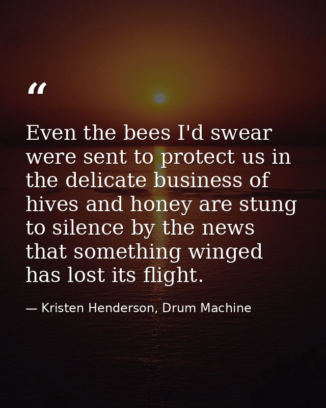 Even the bees I'd swear were sent to protect us in the delicate business of hives and honey are stung to silence by the  — Kristen Henderson, Drum Machine