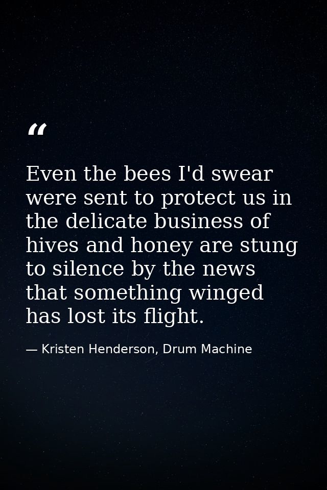 Even the bees I'd swear were sent to protect us in the delicate business of hives and honey are stung to silence by the  — Kristen Henderson, Drum Machine