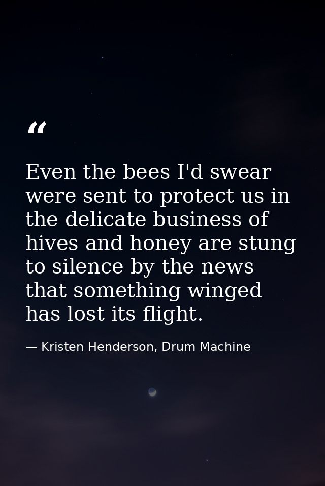 Even the bees I'd swear were sent to protect us in the delicate business of hives and honey are stung to silence by the  — Kristen Henderson, Drum Machine