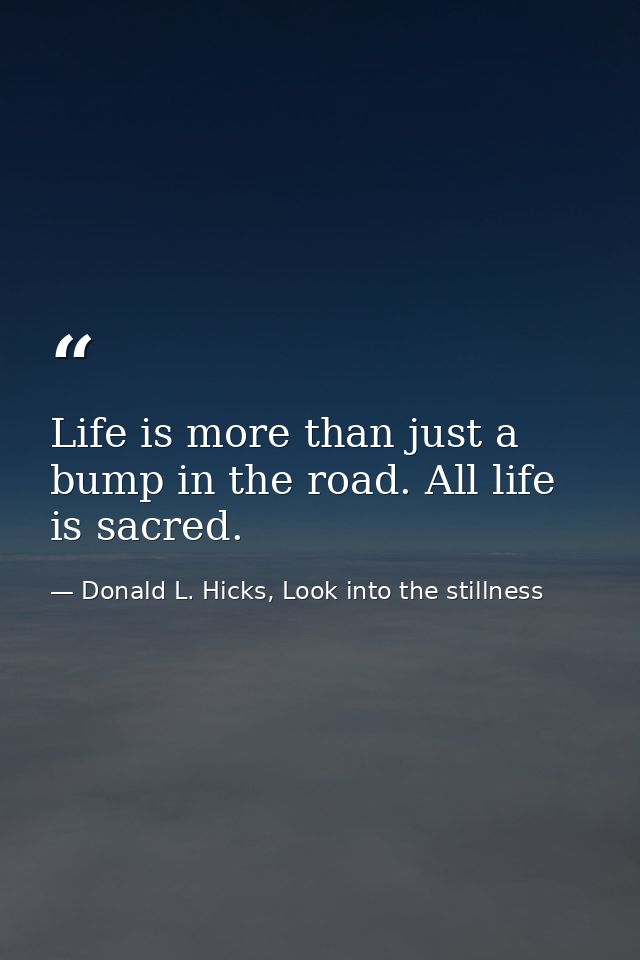 Life is more than just a bump in the road. All life is sacred. — Donald L. Hicks, Look into the stillness