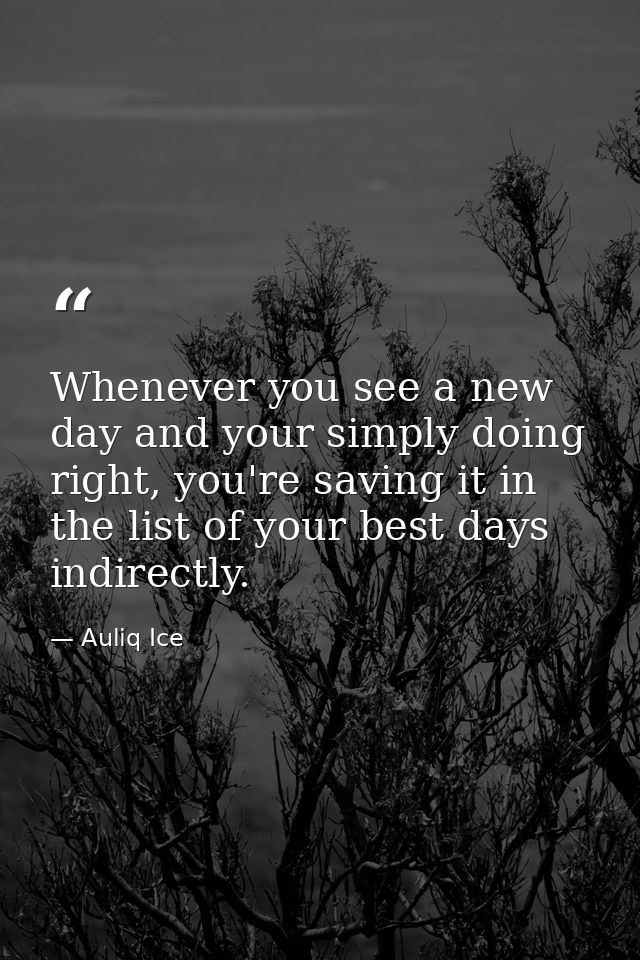 Whenever you see a new day and your simply doing right, you're saving it in the list of your best days indirectly. — Auliq Ice