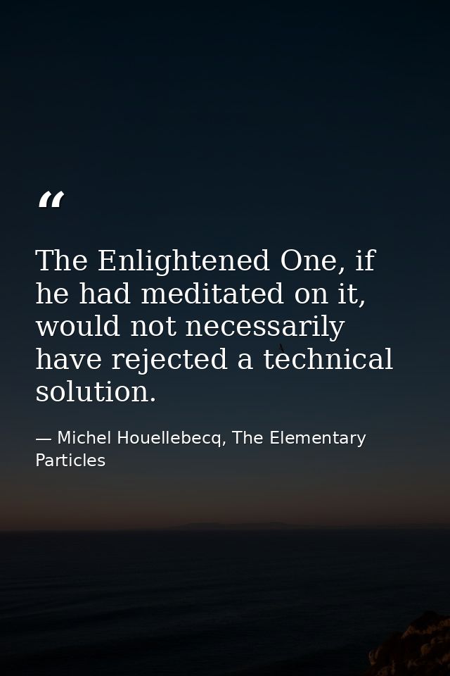 The Enlightened One, if he had meditated on it, would not necessarily have rejected a technical solution. — Michel Houellebecq, The Elementary Particles