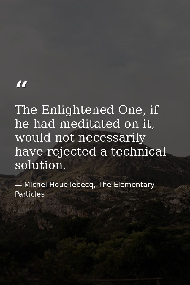 The Enlightened One, if he had meditated on it, would not necessarily have rejected a technical solution. — Michel Houellebecq, The Elementary Particles