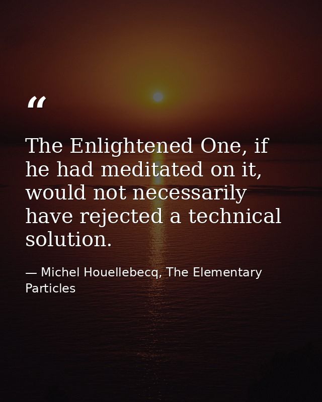 The Enlightened One, if he had meditated on it, would not necessarily have rejected a technical solution. — Michel Houellebecq, The Elementary Particles