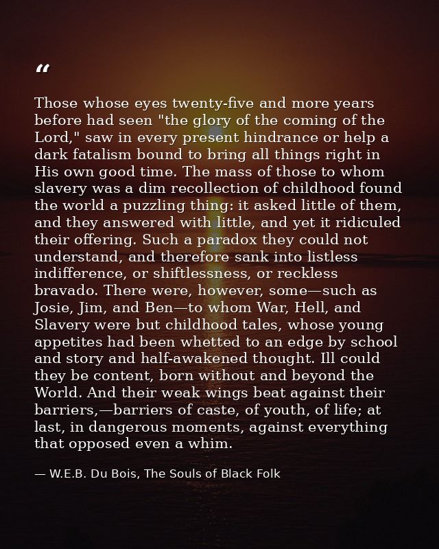 Those whose eyes twenty-five and more years before had seen "the glory of the coming of the Lord," saw in every present  — W.E.B. Du Bois, The Souls of Black Folk