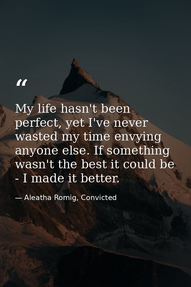 My life hasn't been perfect, yet I've never wasted my time envying anyone else. If something wasn't the best it could be — Aleatha Romig, Convicted