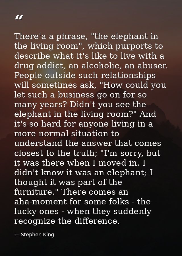 There'a a phrase, "the elephant in the living room", which purports to describe what it's like to live with a drug addic — Stephen King
