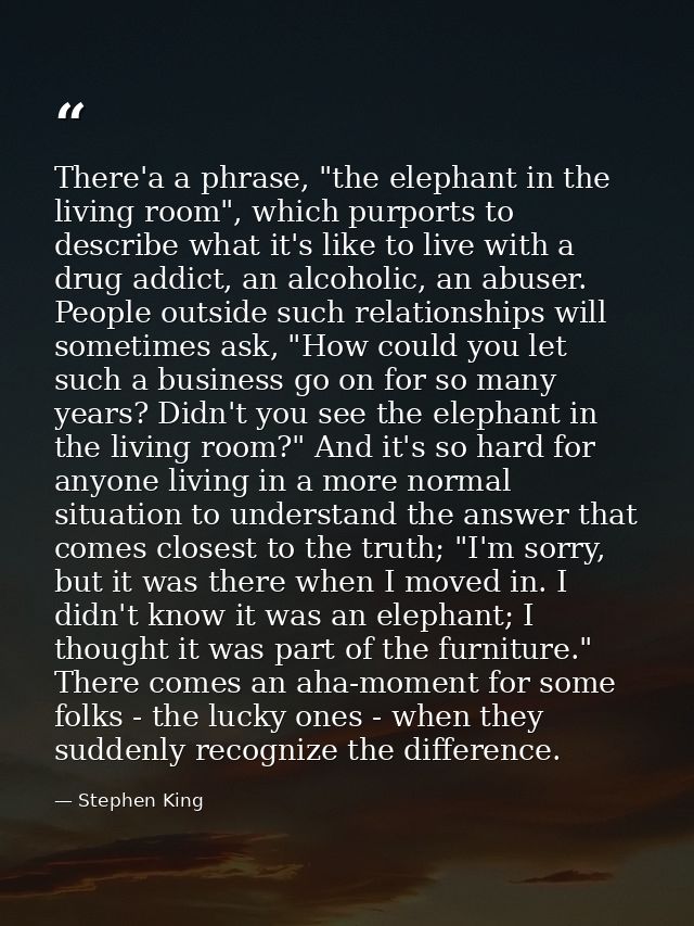 There'a a phrase, "the elephant in the living room", which purports to describe what it's like to live with a drug addic — Stephen King