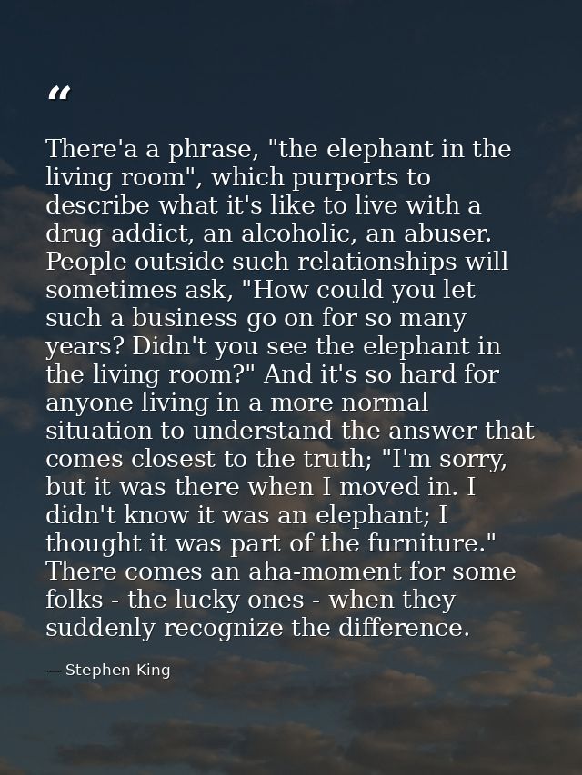 There'a a phrase, "the elephant in the living room", which purports to describe what it's like to live with a drug addic — Stephen King