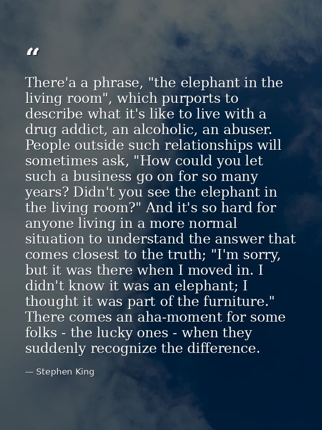 There'a a phrase, "the elephant in the living room", which purports to describe what it's like to live with a drug addic — Stephen King