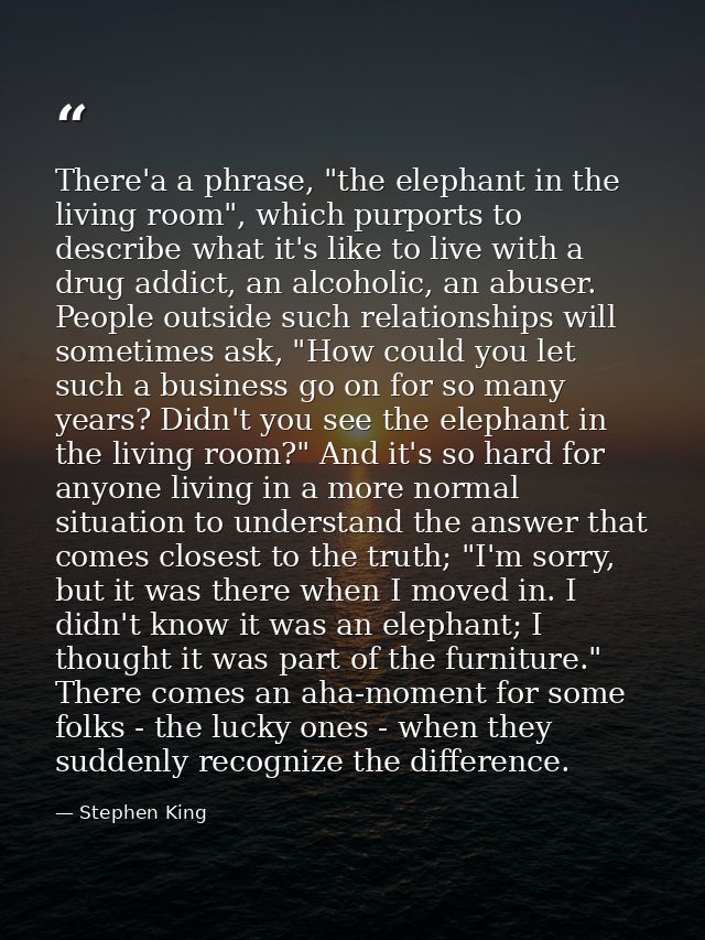 There'a a phrase, "the elephant in the living room", which purports to describe what it's like to live with a drug addic — Stephen King