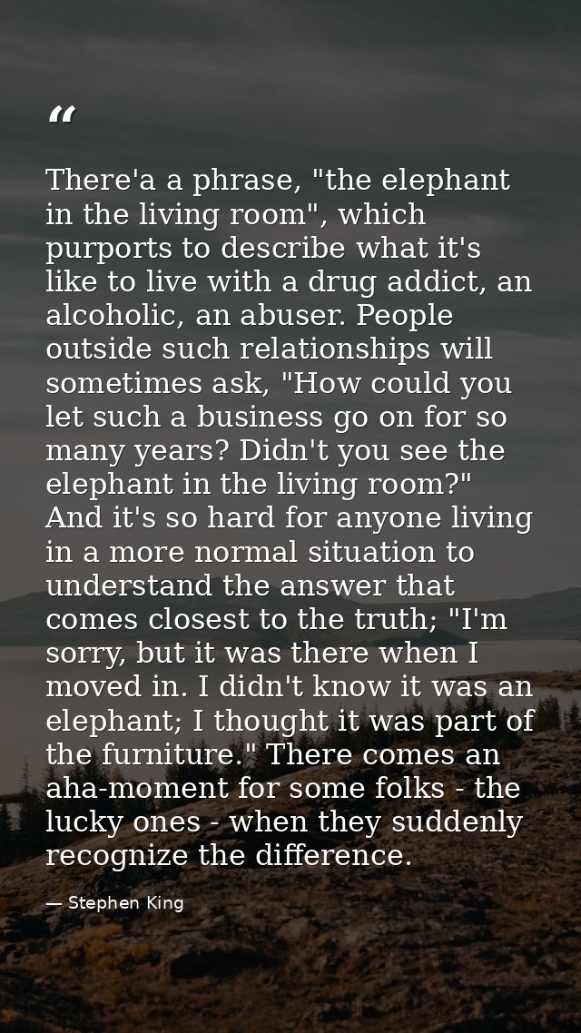 There'a a phrase, "the elephant in the living room", which purports to describe what it's like to live with a drug addic — Stephen King