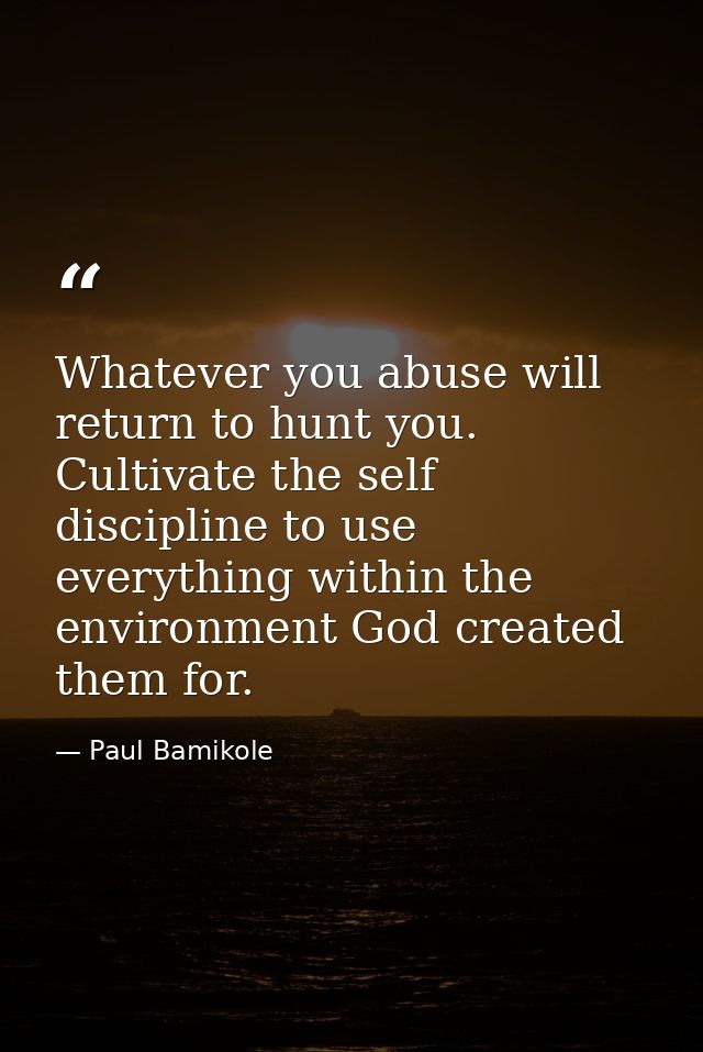 Whatever you abuse will return to hunt you. Cultivate the self discipline to use everything within the environment God c — Paul Bamikole