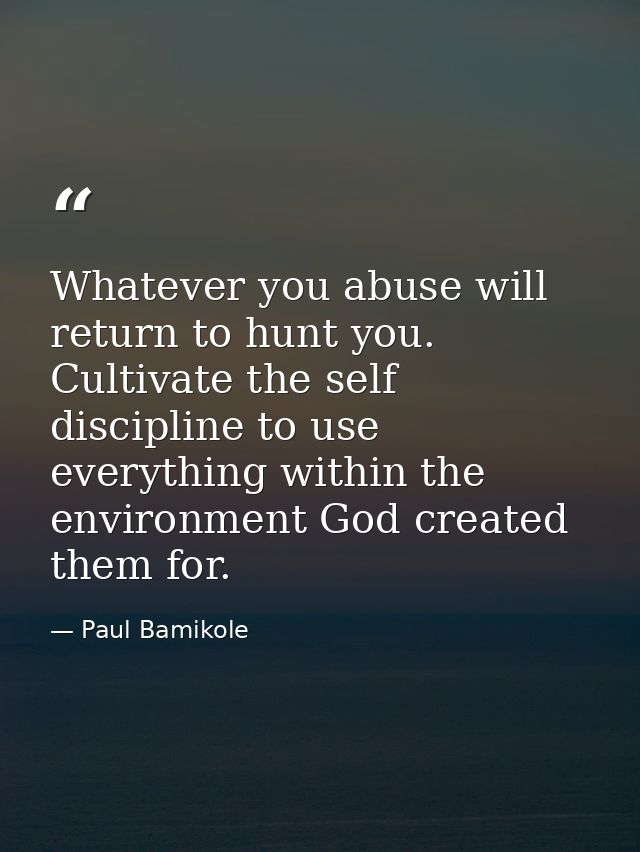 Whatever you abuse will return to hunt you. Cultivate the self discipline to use everything within the environment God c — Paul Bamikole
