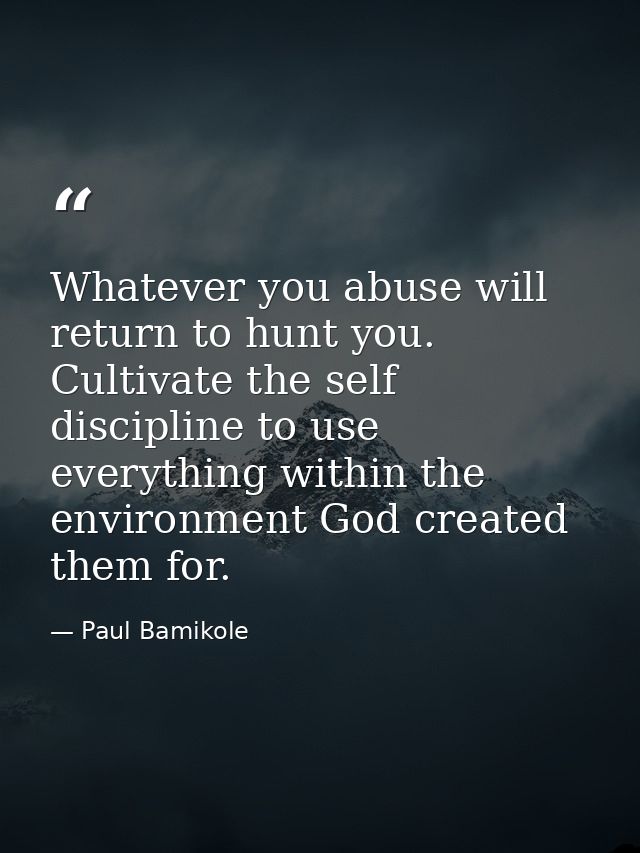 Whatever you abuse will return to hunt you. Cultivate the self discipline to use everything within the environment God c — Paul Bamikole