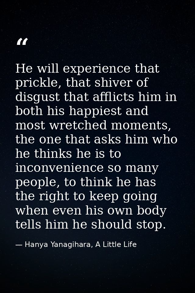 He will experience that prickle, that shiver of disgust that afflicts him in both his happiest and most wretched moments — Hanya Yanagihara, A Little Life