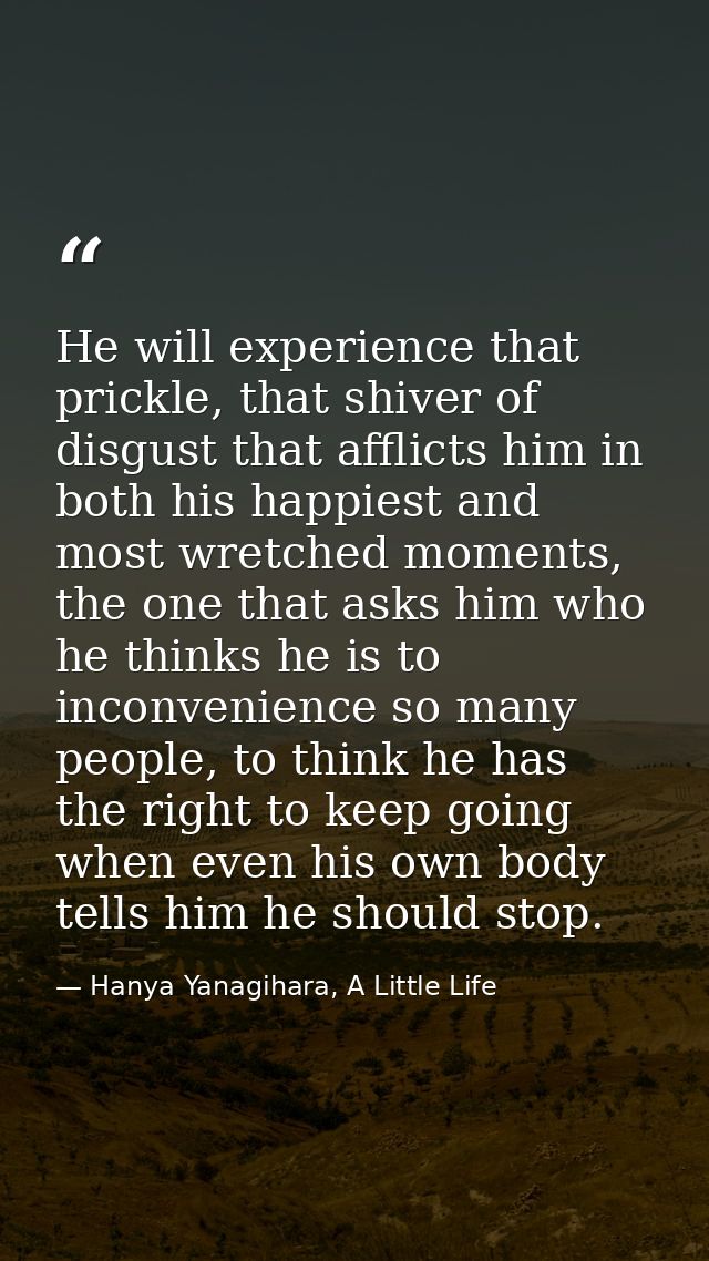 He will experience that prickle, that shiver of disgust that afflicts him in both his happiest and most wretched moments — Hanya Yanagihara, A Little Life