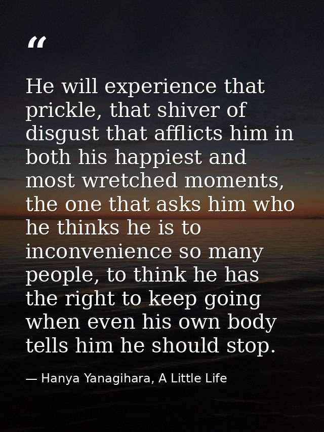 He will experience that prickle, that shiver of disgust that afflicts him in both his happiest and most wretched moments — Hanya Yanagihara, A Little Life