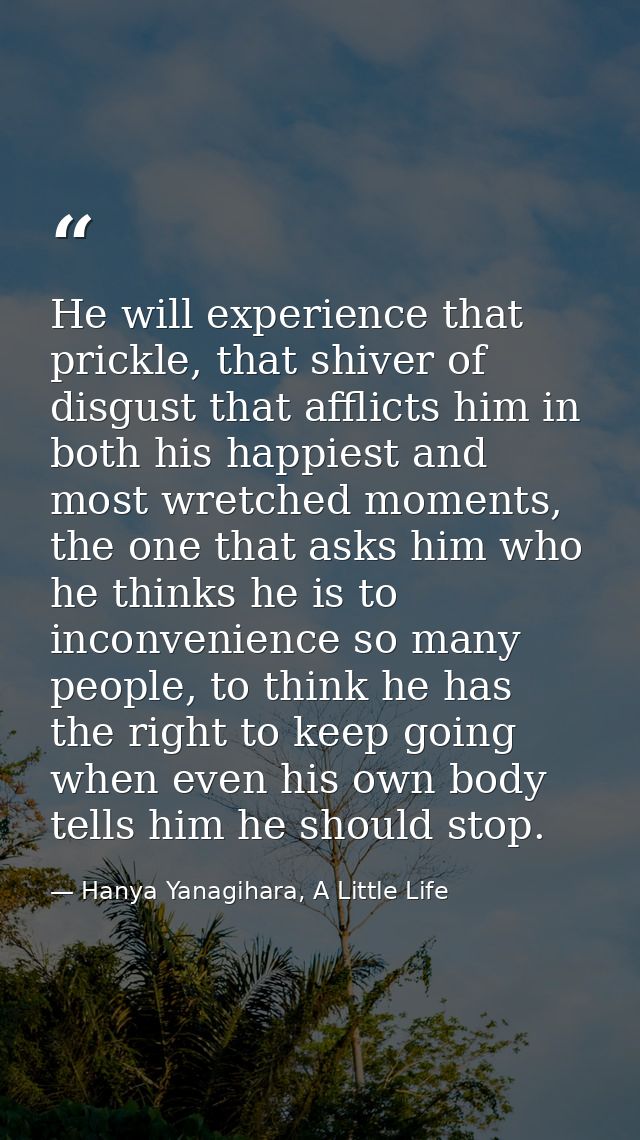 He will experience that prickle, that shiver of disgust that afflicts him in both his happiest and most wretched moments — Hanya Yanagihara, A Little Life