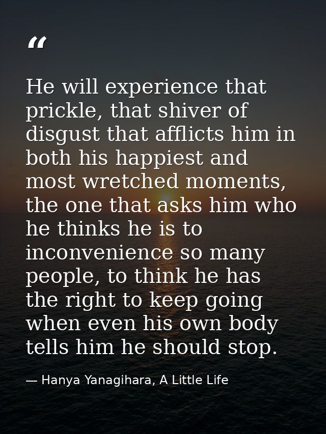 He will experience that prickle, that shiver of disgust that afflicts him in both his happiest and most wretched moments — Hanya Yanagihara, A Little Life