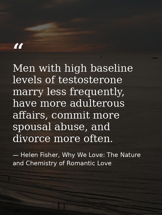 Men with high baseline levels of testosterone marry less frequently, have more adulterous affairs, commit more spousal a — Helen Fisher, Why We Love: The Nature and Chemistry of Romantic Love