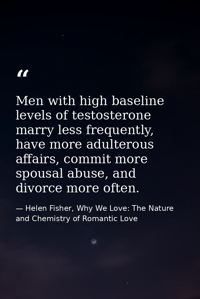 Men with high baseline levels of testosterone marry less frequently, have more adulterous affairs, commit more spousal a — Helen Fisher, Why We Love: The Nature and Chemistry of Romantic Love