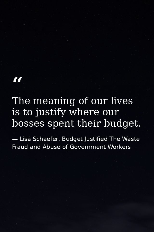 The meaning of our lives is to justify where our bosses spent their budget. — Lisa Schaefer, Budget Justified The Waste Fraud and Abuse of Government Workers