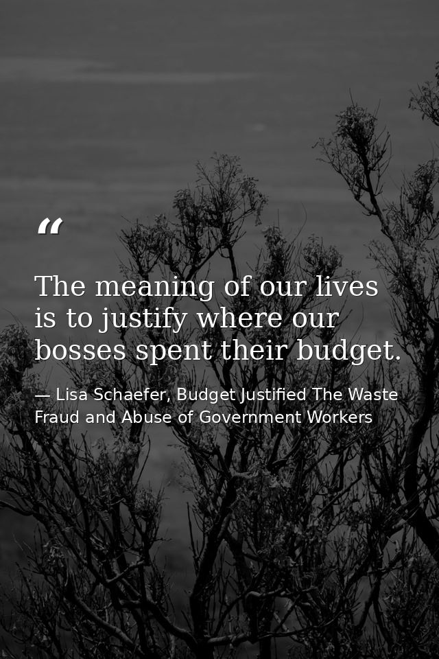 The meaning of our lives is to justify where our bosses spent their budget. — Lisa Schaefer, Budget Justified The Waste Fraud and Abuse of Government Workers