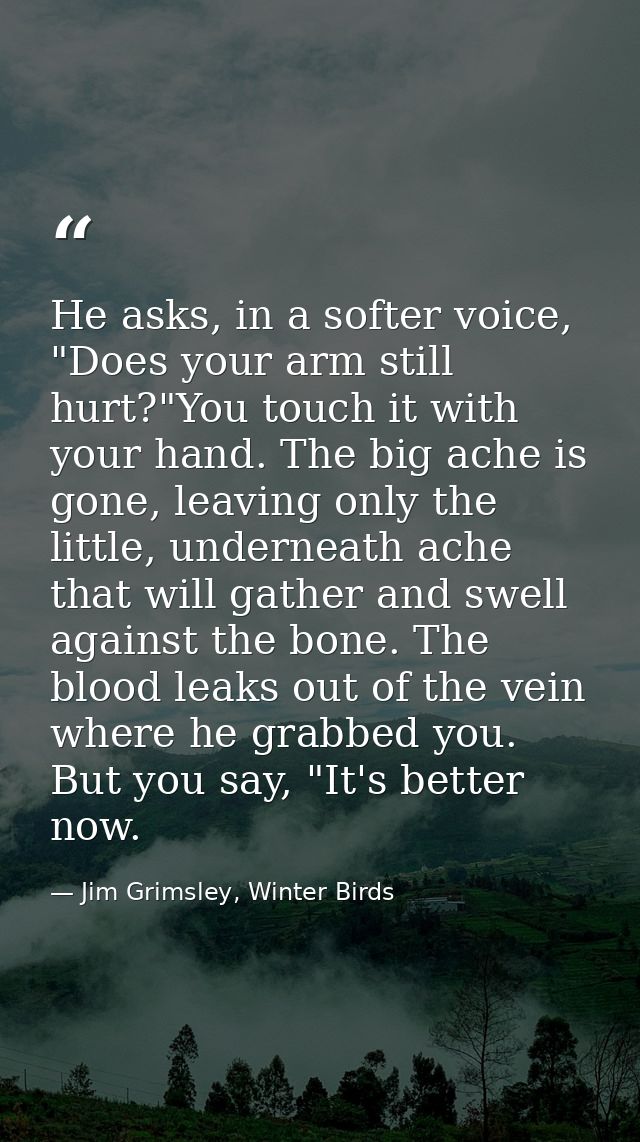He asks, in a softer voice, "Does your arm still hurt?"You touch it with your hand. The big ache is gone, leaving only t — Jim Grimsley, Winter Birds