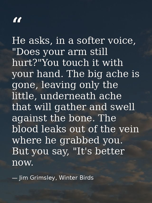He asks, in a softer voice, "Does your arm still hurt?"You touch it with your hand. The big ache is gone, leaving only t — Jim Grimsley, Winter Birds