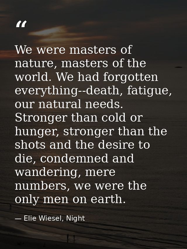 We were masters of nature, masters of the world. We had forgotten everything--death, fatigue, our natural needs. Stronge — Elie Wiesel, Night