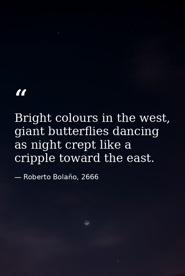Bright colours in the west, giant butterflies dancing as night crept like a cripple toward the east. — Roberto Bolaño, 2666