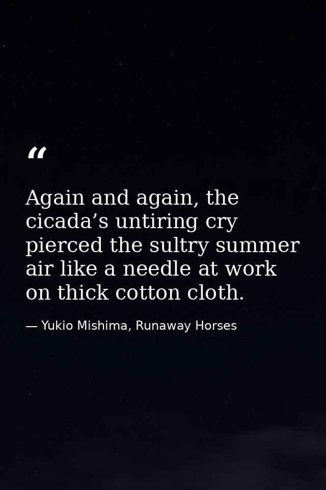 Again and again, the cicada’s untiring cry pierced the sultry summer air like a needle at work on thick cotton cloth. — Yukio Mishima, Runaway Horses