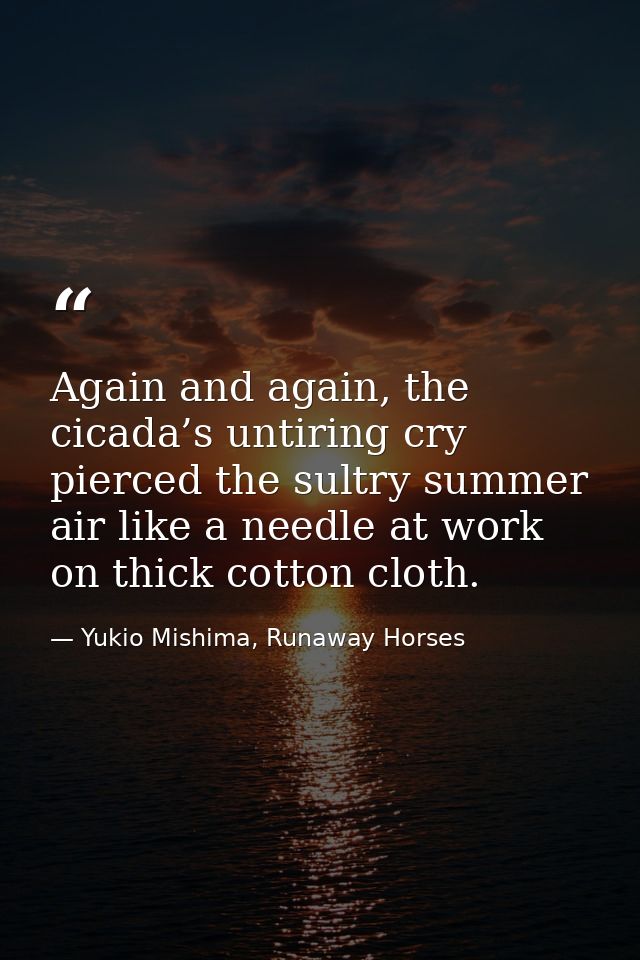 Again and again, the cicada’s untiring cry pierced the sultry summer air like a needle at work on thick cotton cloth. — Yukio Mishima, Runaway Horses
