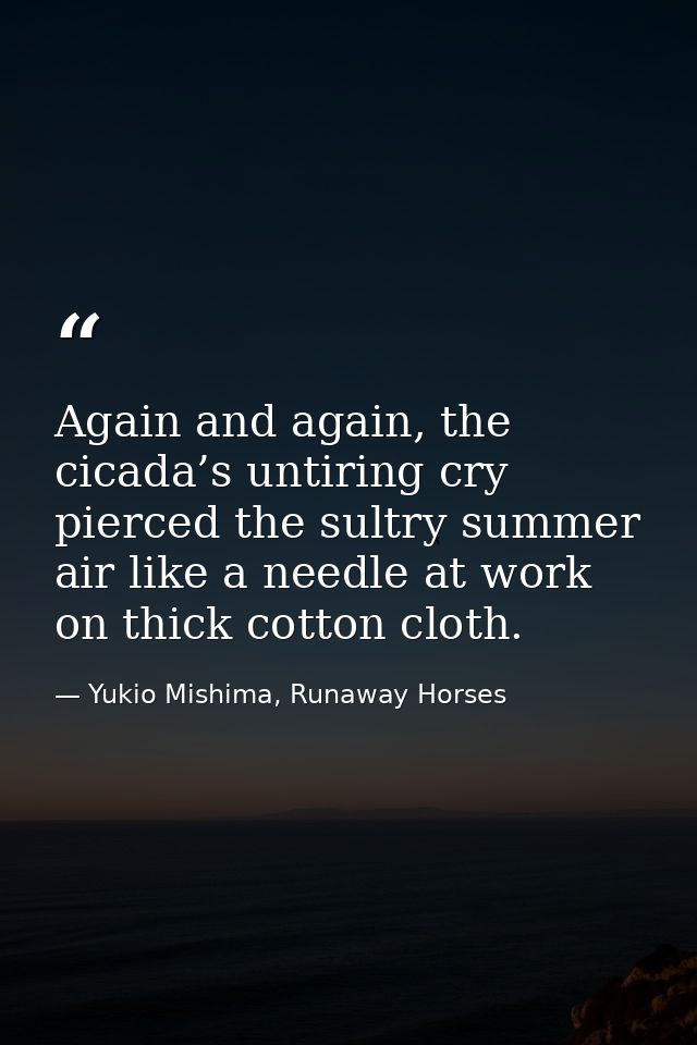 Again and again, the cicada’s untiring cry pierced the sultry summer air like a needle at work on thick cotton cloth. — Yukio Mishima, Runaway Horses