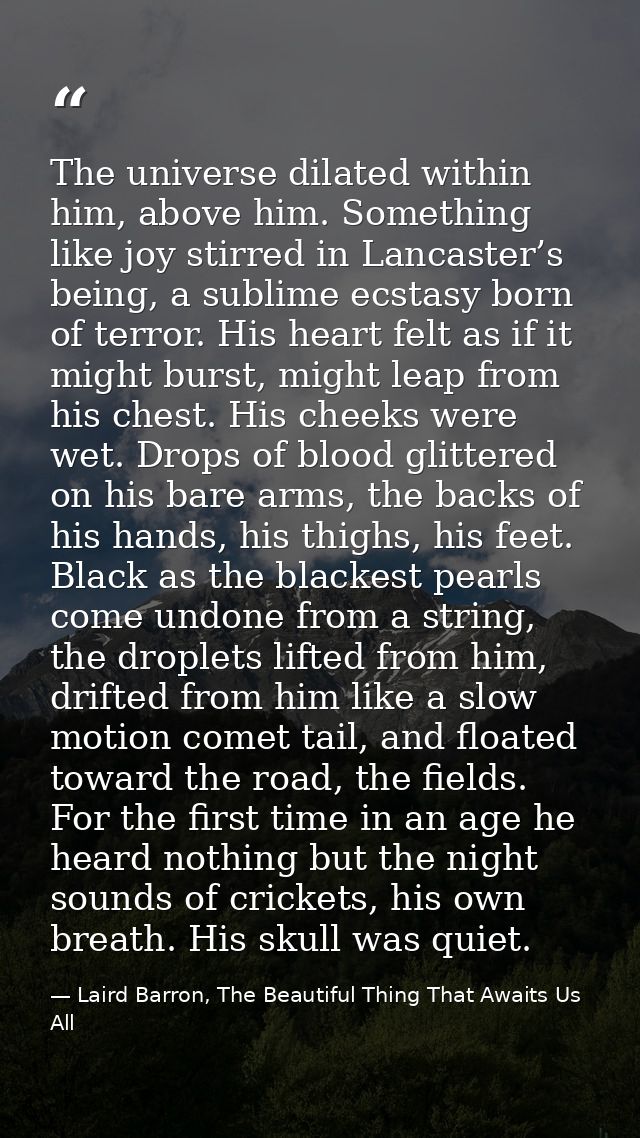 The universe dilated within him, above him. Something like joy stirred in Lancaster’s being, a sublime ecstasy born of t — Laird Barron, The Beautiful Thing That Awaits Us All