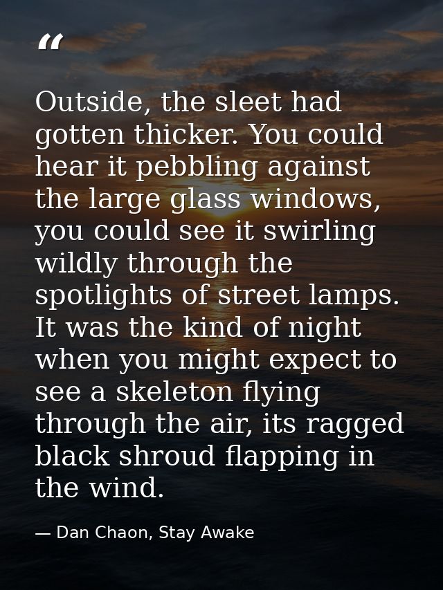Outside, the sleet had gotten thicker. You could hear it pebbling against the large glass windows, you could see it swir — Dan Chaon, Stay Awake