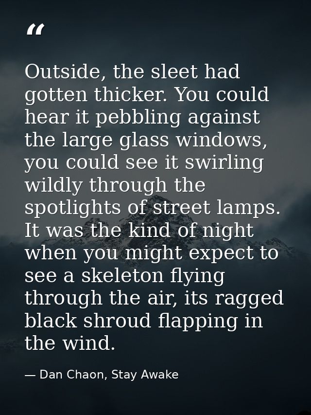 Outside, the sleet had gotten thicker. You could hear it pebbling against the large glass windows, you could see it swir — Dan Chaon, Stay Awake