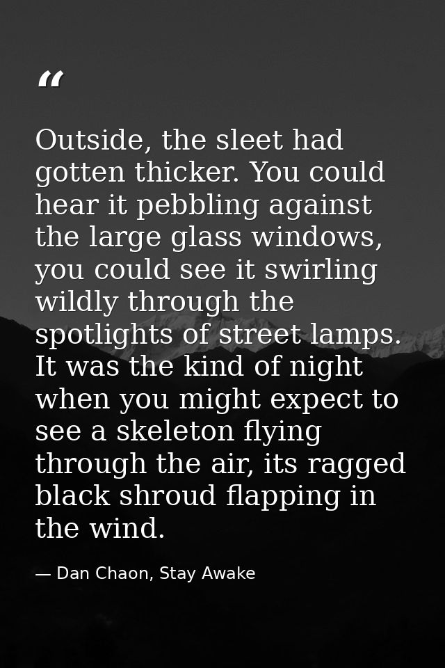 Outside, the sleet had gotten thicker. You could hear it pebbling against the large glass windows, you could see it swir — Dan Chaon, Stay Awake