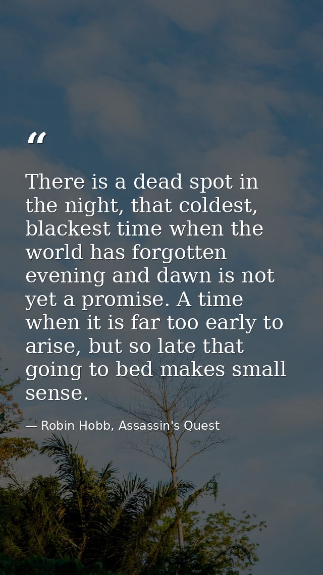 There is a dead spot in the night, that coldest, blackest time when the world has forgotten evening and dawn is not yet  — Robin Hobb, Assassin's Quest