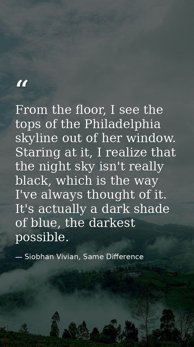 From the floor, I see the tops of the Philadelphia skyline out of her window. Staring at it, I realize that the night sk — Siobhan Vivian, Same Difference
