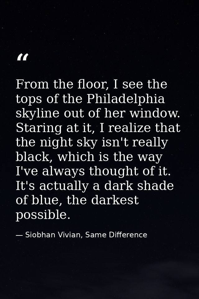 From the floor, I see the tops of the Philadelphia skyline out of her window. Staring at it, I realize that the night sk — Siobhan Vivian, Same Difference
