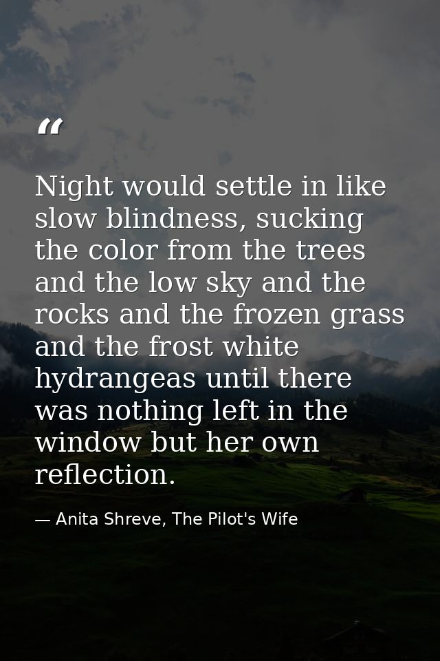 Night would settle in like slow blindness, sucking the color from the trees and the low sky and the rocks and the frozen — Anita Shreve, The Pilot's Wife
