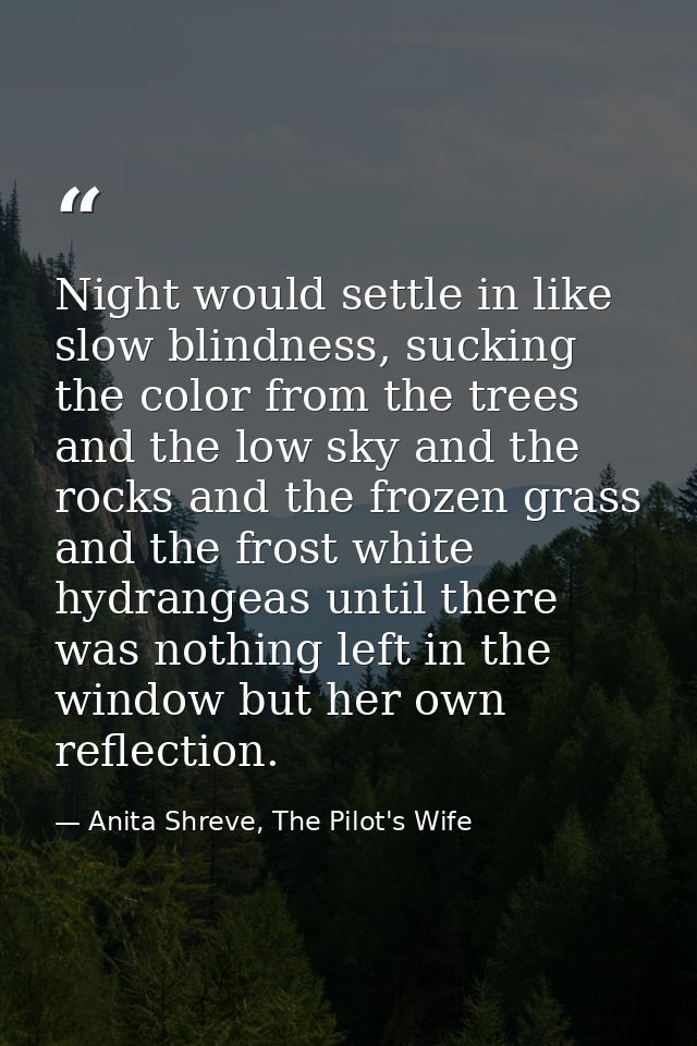 Night would settle in like slow blindness, sucking the color from the trees and the low sky and the rocks and the frozen — Anita Shreve, The Pilot's Wife