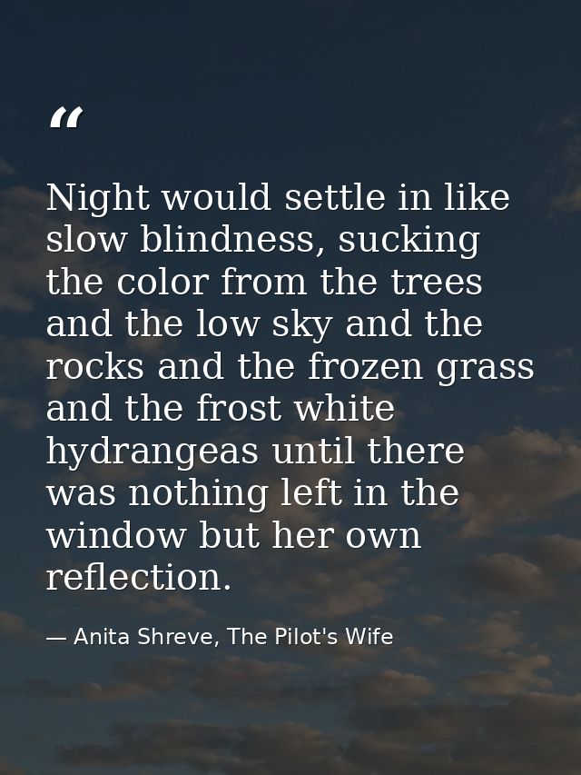 Night would settle in like slow blindness, sucking the color from the trees and the low sky and the rocks and the frozen — Anita Shreve, The Pilot's Wife